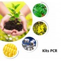 Kits PCR OGM