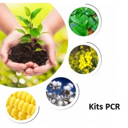 PCR Kits