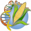 Tests Unitaires OGM 