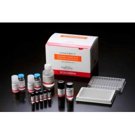 ELISA Ethinylestradiol EE2