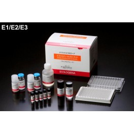 ELISA Multi Oestrogènes - Estrone (E1), 17 Bêta-Estradiol (E2) et Estriol (E3)