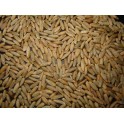 Alcaloides de l'Ergot purifiés