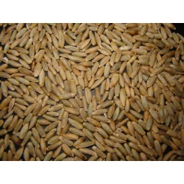 Alcaloides de l'Ergot purifiés