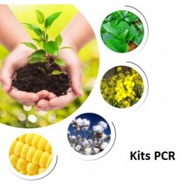 MODIfinder OGM PCR kits