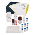 Kit ELISA microcystines et nodularines ADDA EPA 546 : tests de présence de cyanotoxines