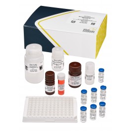 ELISA Microcystines ADDA EPA 546