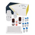 ELISA Microcystines ADDA SAES