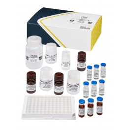 ELISA Brevetoxine (NSP)