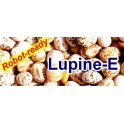 Lupin-E