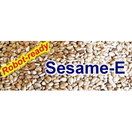 Sésame-E