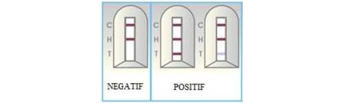 Tests rapides - ALLERGENES